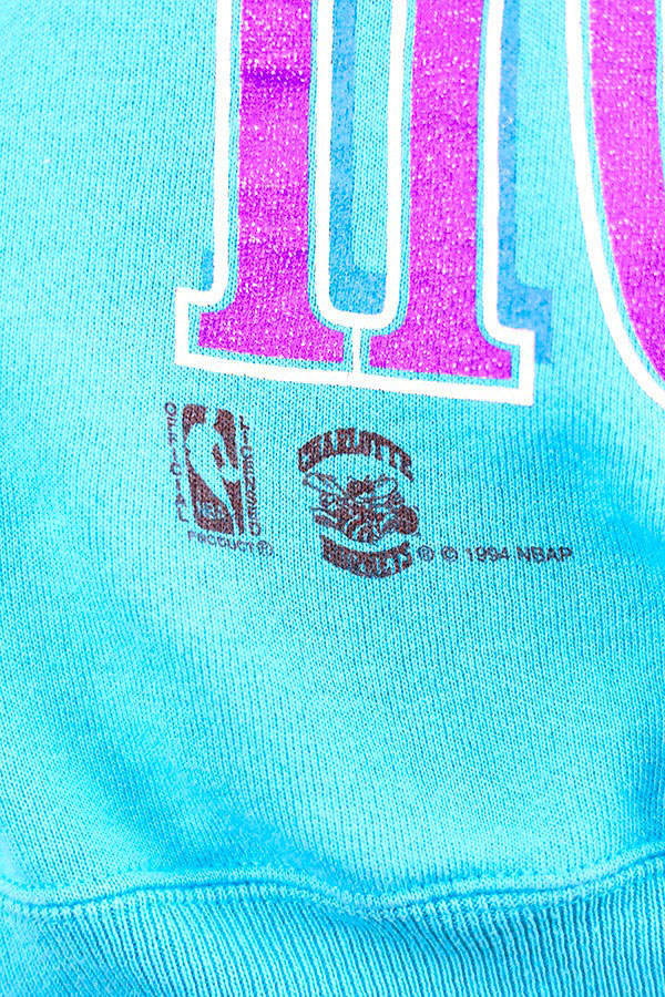 Used 90s HANES NBA CHARLOTTE HORNETS Graphic Sweat Size L 